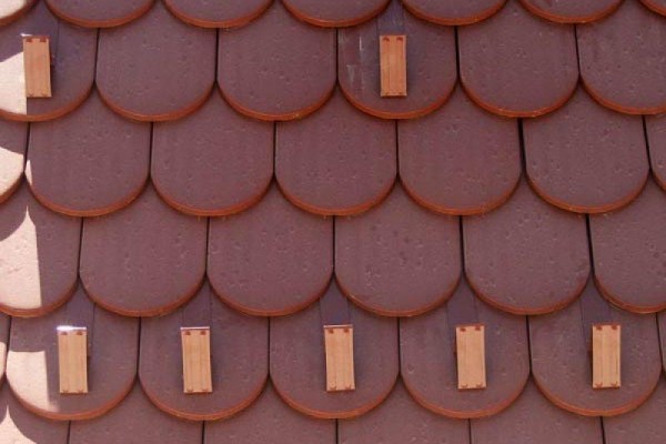 Točkovni snegolov