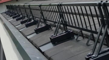 Snegolovi Šempeter v Savinski Dolini